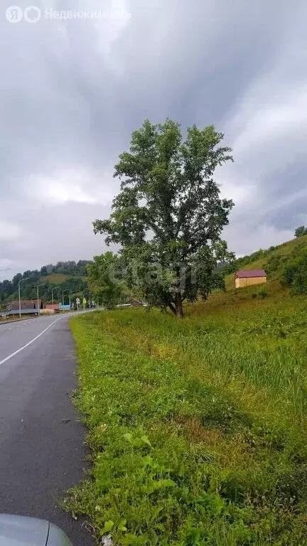 Участок в Чойский район, Паспаульское сельское поселение, село Сугул, ... - Фото 0