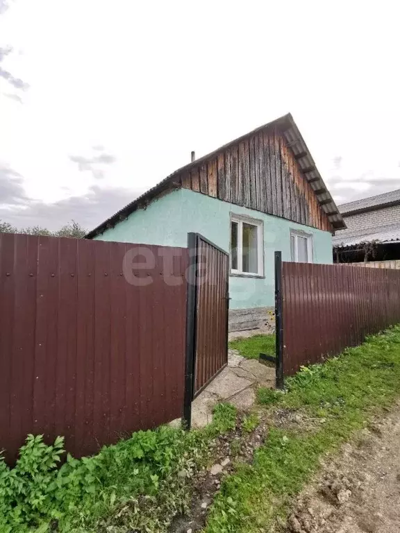 Дом в Алтайский край, Белокуриха Снежная ул., 15 (35 м) - Фото 1