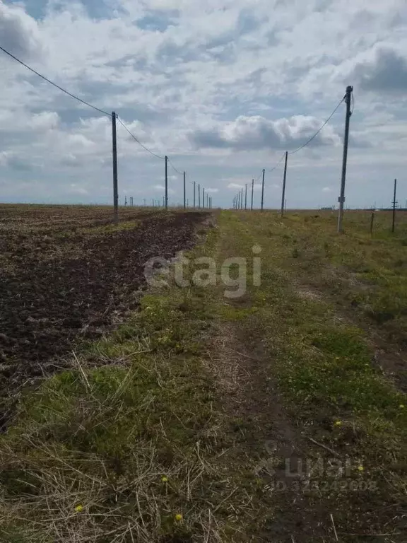 Участок в Липецкая область, Липецкий муниципальный округ, с. Частая ... - Фото 1