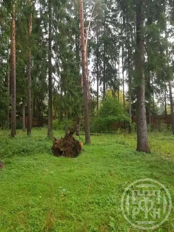 Участок в Ленинградская область, Выборгский район, Первомайское с/пос, ... - Фото 1