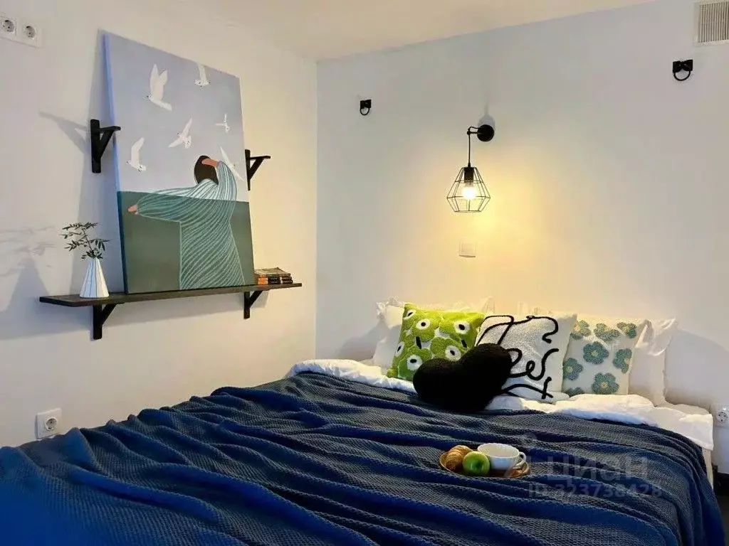 1-к кв. Воронежская область, Воронеж ул. Ленина, 43 (47.0 м) - Фото 2