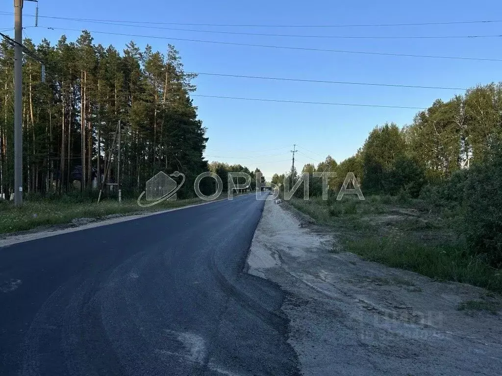 Участок в Тюменская область, Нижнетавдинский муниципальный округ, ... - Фото 2