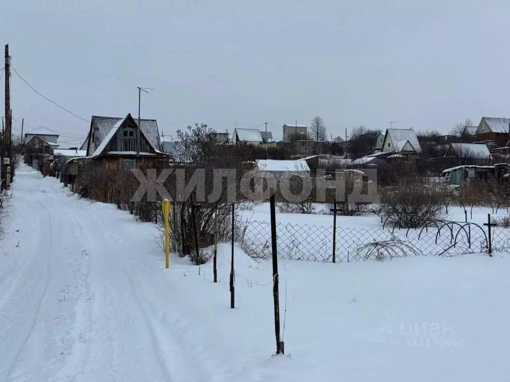 Участок в Алтайский край, Барнаул городской округ, Поселок Казенная ... - Фото 0