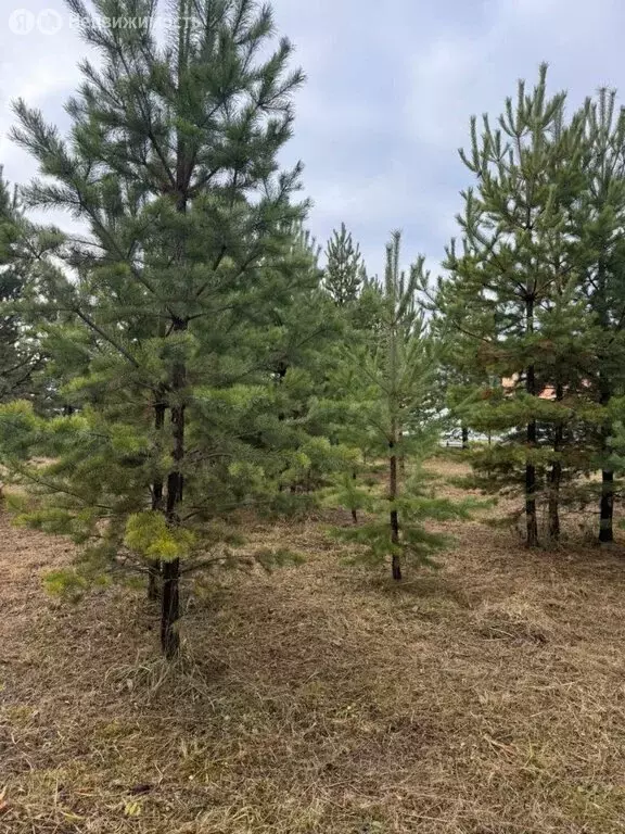 Участок в Екатеринбург, Чкаловский район (8 м) - Фото 1