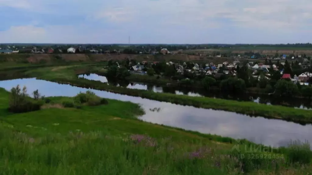 Участок в Омская область, Омский район, пос. Ростовка Восточная ул. ... - Фото 2