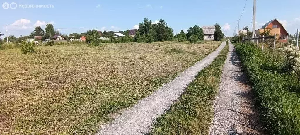 Участок в Бердск, садоводческое некоммерческое товарищество Луч (6 м) - Фото 1