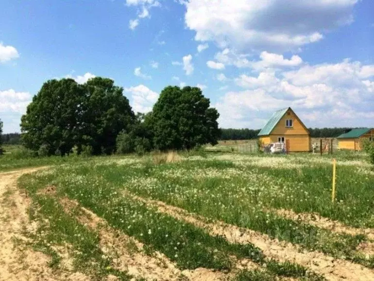 Участок в Тульская область, Ясногорский район, Иваньковское ... - Фото 0