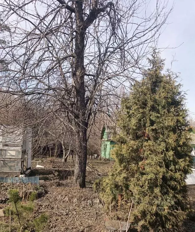 Дом в Челябинская область, Челябинск Строитель СНТ, ул. Западная, 167 ... - Фото 2