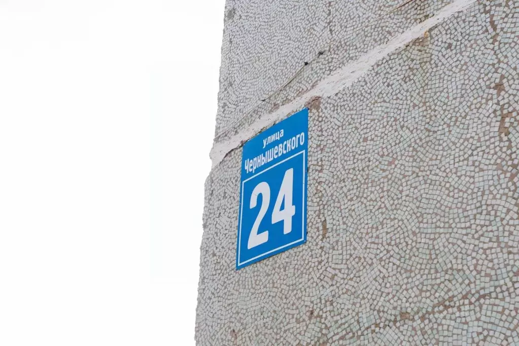 3-к кв. Оренбургская область, Оренбург ул. Чернышевского, 24 (67.6 м) - Фото 1