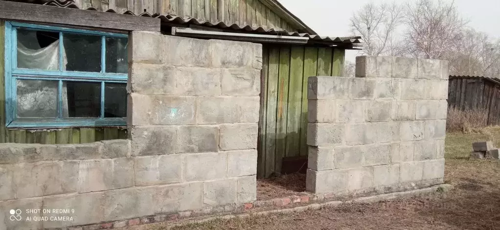 Дом в Амурская область, Ивановский муниципальный округ, с. Среднебелая ... - Фото 2