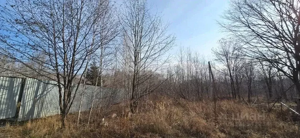 Участок в Хабаровский край, Хабаровский район, Осиновореченское с/пос, ... - Фото 2