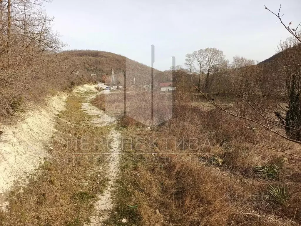 Участок в Краснодарский край, Новороссийск городской округ, с. Мысхако ... - Фото 0