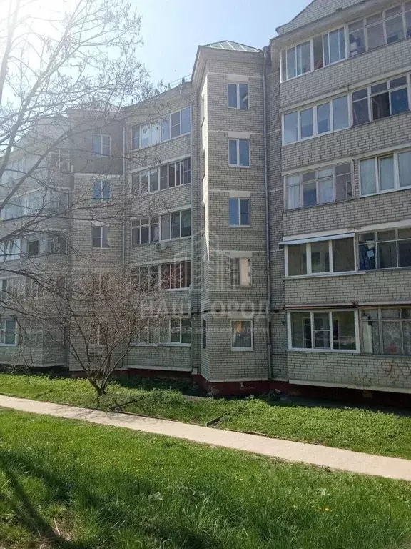 1-к кв. Тамбовская область, Тамбов Магистральная ул., 35Г (48.0 м) - Фото 1