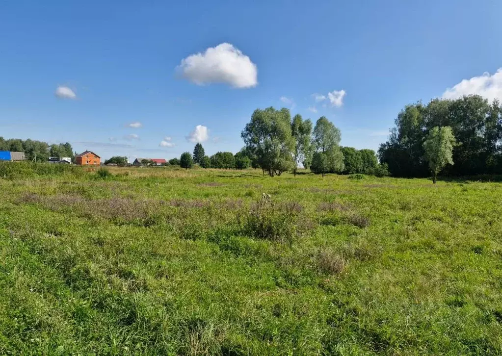 Участок в Московская область, Ступино городской округ, д. Красный ... - Фото 1