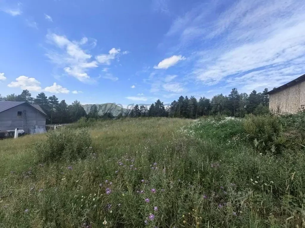 Участок в Алтай, Чемальский район, с. Чепош ул. Кучияк, 33 (1300.0 ... - Фото 2