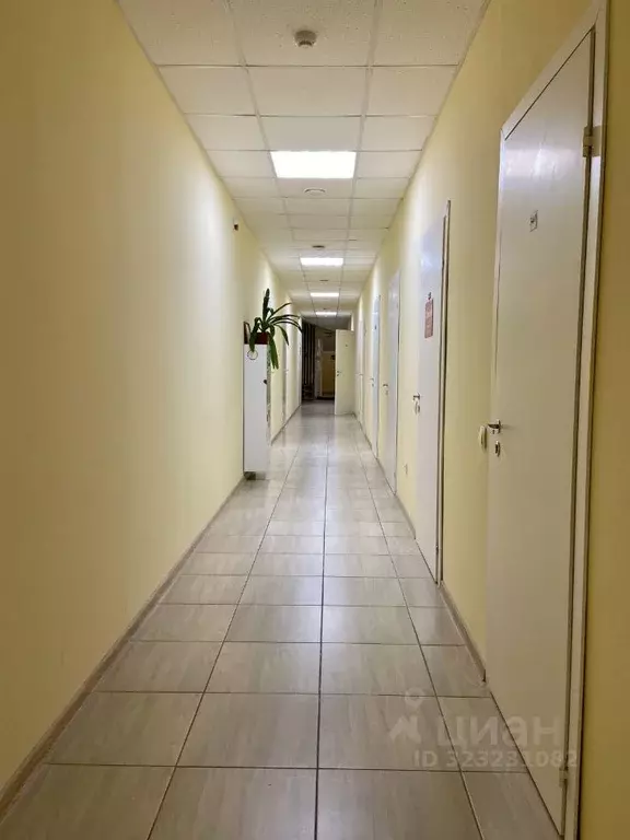 Офис в Ульяновская область, Ульяновск Новосондецкий бул., 11Б (10 м) - Фото 1