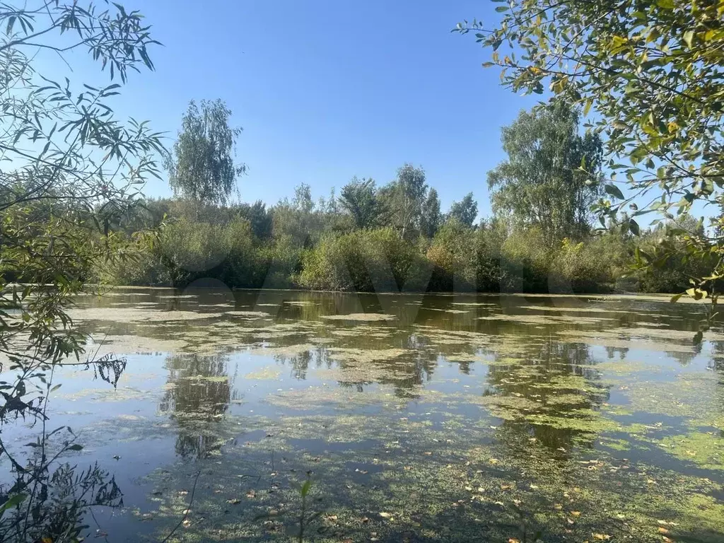 Участок 1,35 га (СНТ, ДНП) - Фото 0