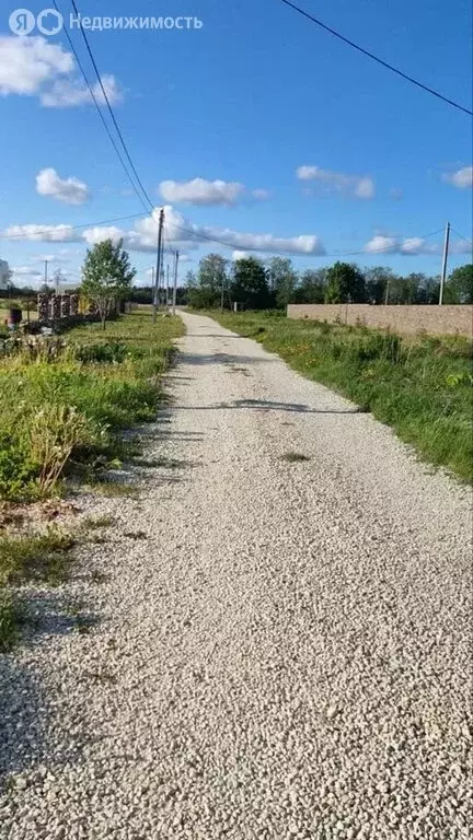 Участок в Волосовский район, Большеврудское сельское поселение, ... - Фото 2