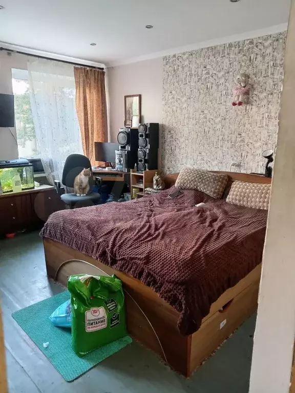 1-к. квартира, 23,5 м, 1/5 эт. - Фото 1