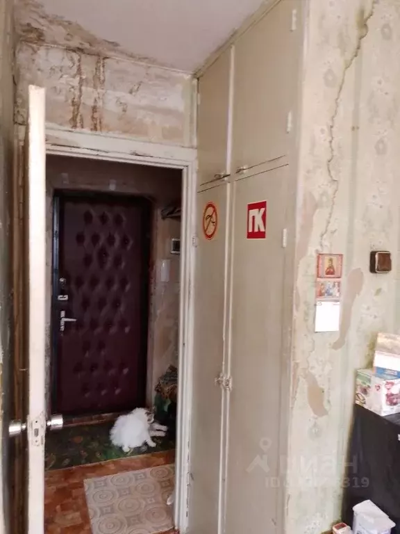 2-к кв. Смоленская область, Вязьма ул. Строителей, 16 (32.8 м) - Фото 2