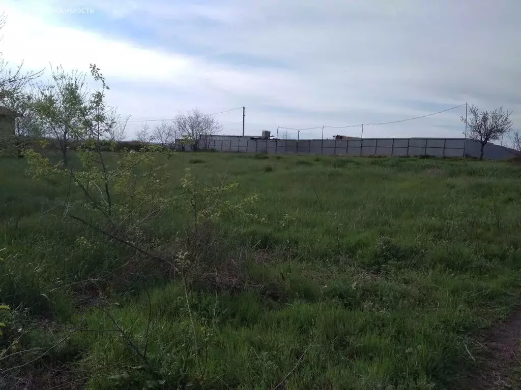 Участок в посёлок городского типа Глубокий, улица Артёма (10 м) - Фото 0