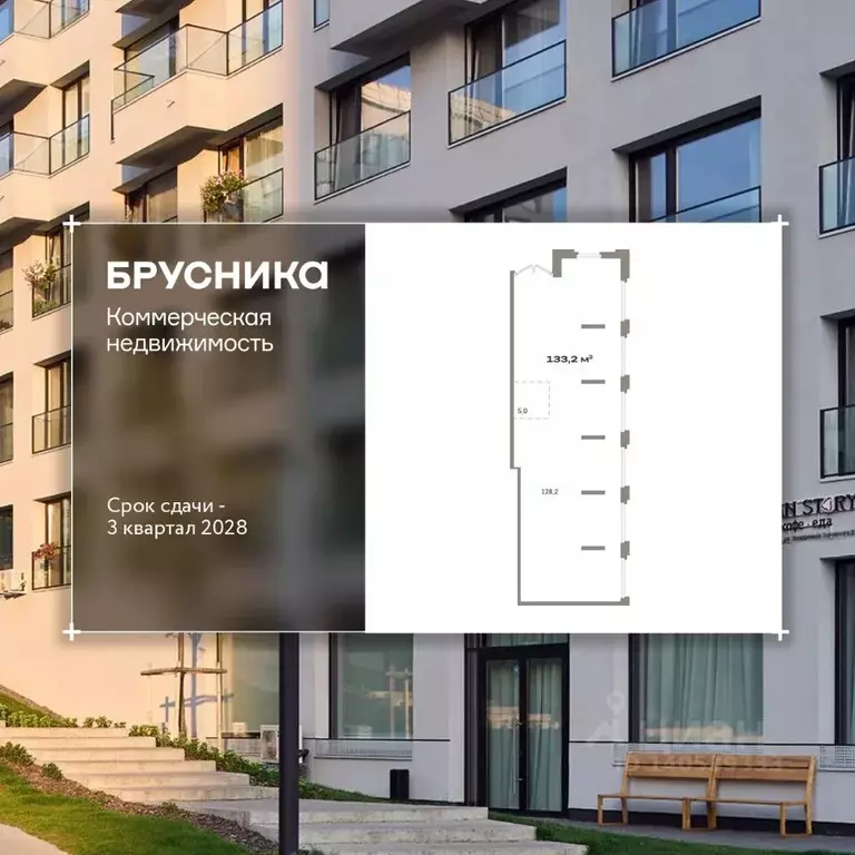 Помещение свободного назначения в Новосибирская область, Новосибирск ... - Фото 1