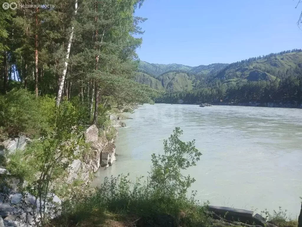 Участок в Чемальский район, село Анос (11 м) - Фото 1
