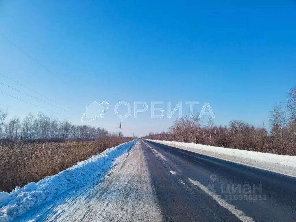 Участок в Тюменская область, Тюмень Велижанский тракт, 9-й км (110.0 ... - Фото 1