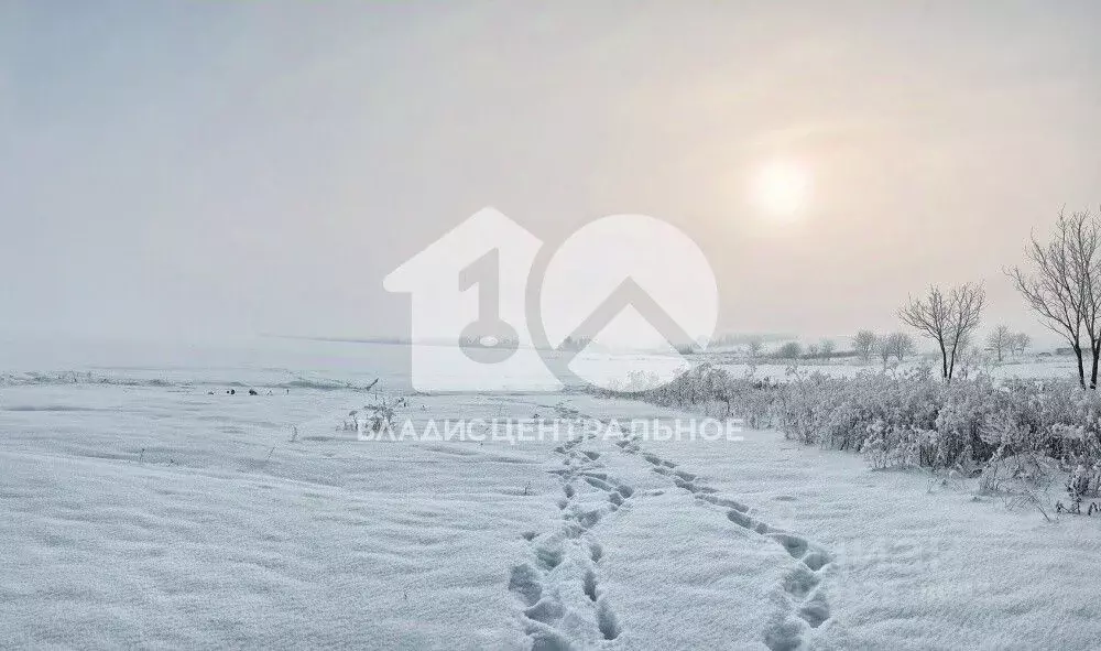 Участок в Новосибирская область, Новосибирск Перспективная ул. (9.9 ... - Фото 0