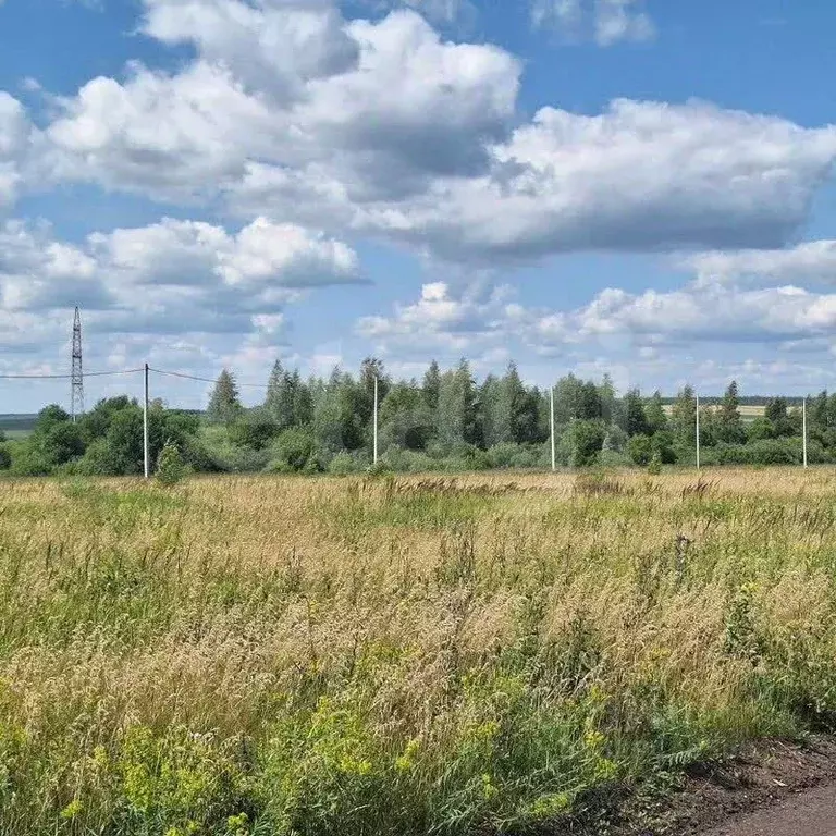 Участок в Мордовия, Лямбирский район, с. Берсеневка  (12.4 сот.) - Фото 1