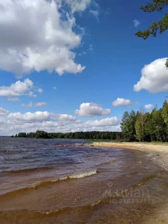 Участок в Нижегородская область, Сокольский муниципальный округ, ... - Фото 0