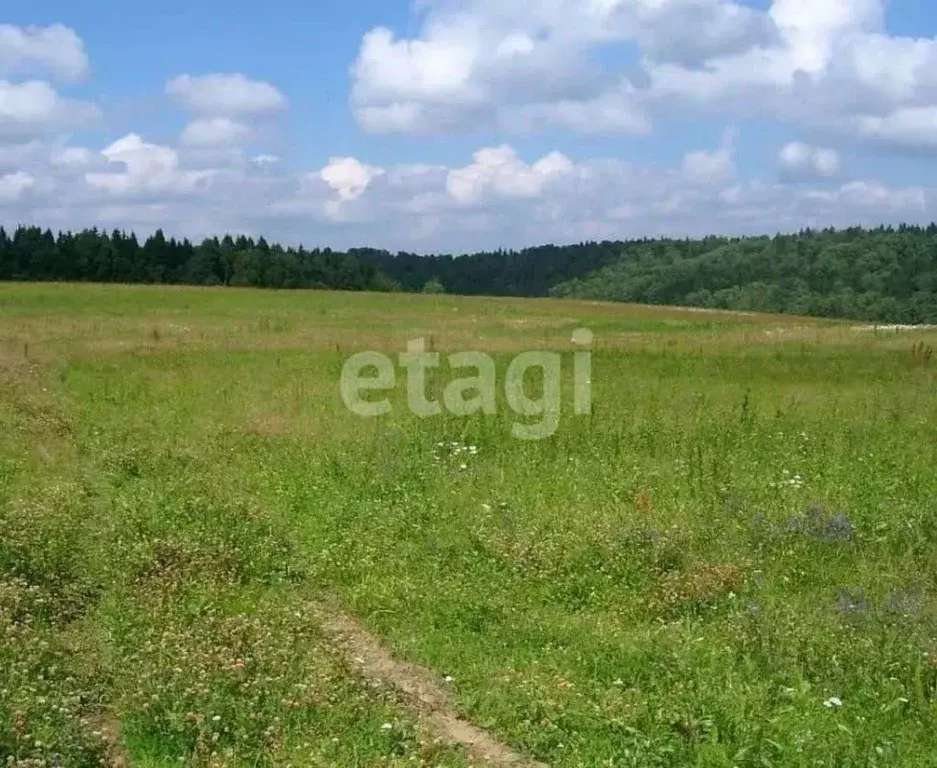 Участок в Тульская область, Кимовский район, Новольвовское ... - Фото 0