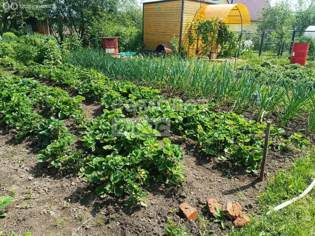 Участок в Йошкар-Ола, СНТ Коммунальник, 10/16 (4 м) - Фото 2
