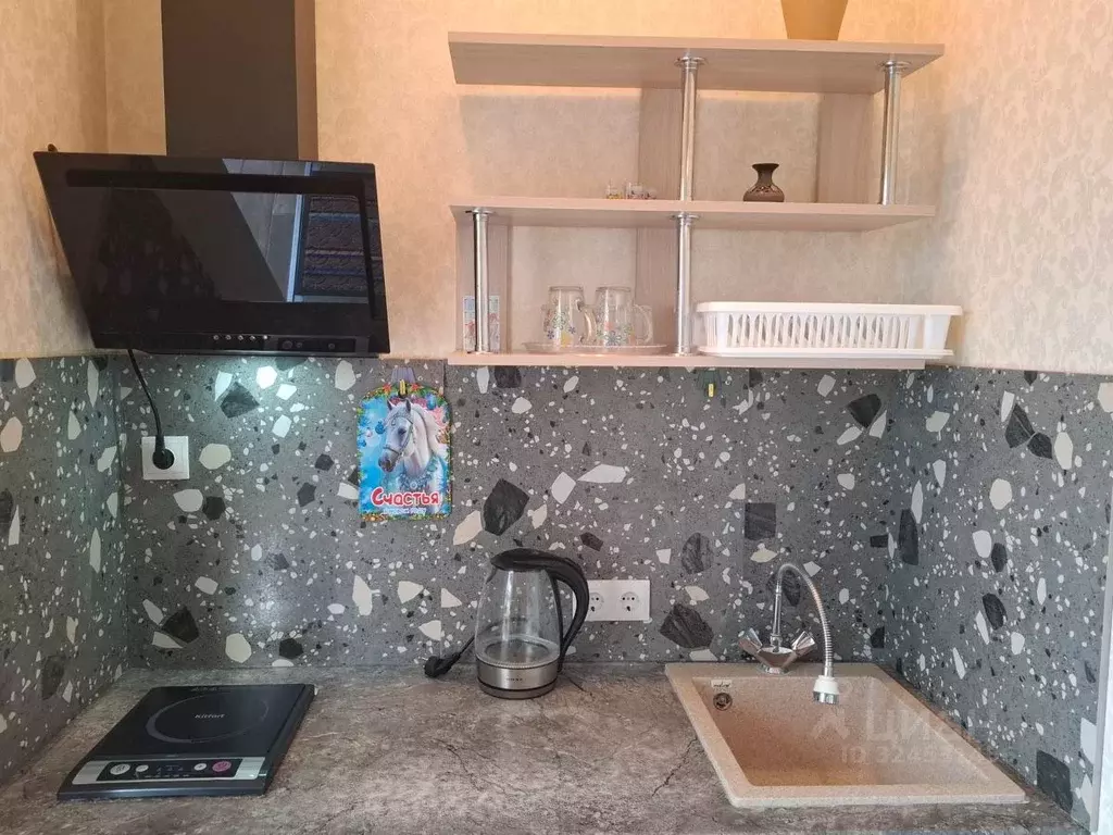 Студия Крым, Ялта ул. Красноармейская, 40 (22.0 м) - Фото 2