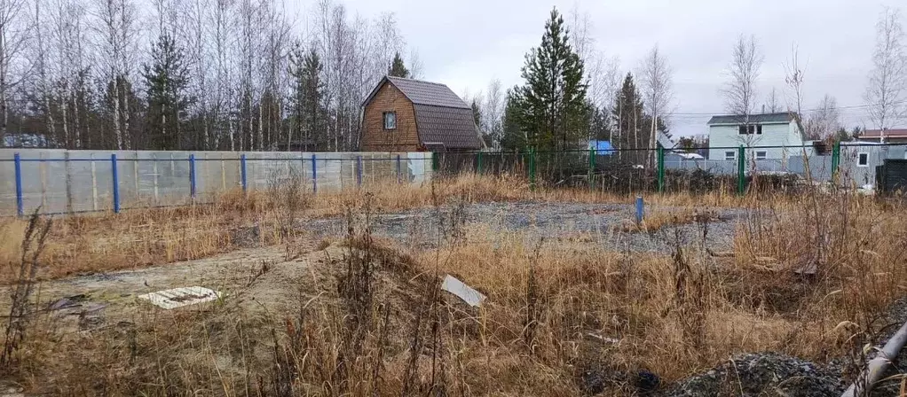 Дом в Ханты-Мансийский АО, Сургут Березовое садовое товарищество,  (44 ... - Фото 1