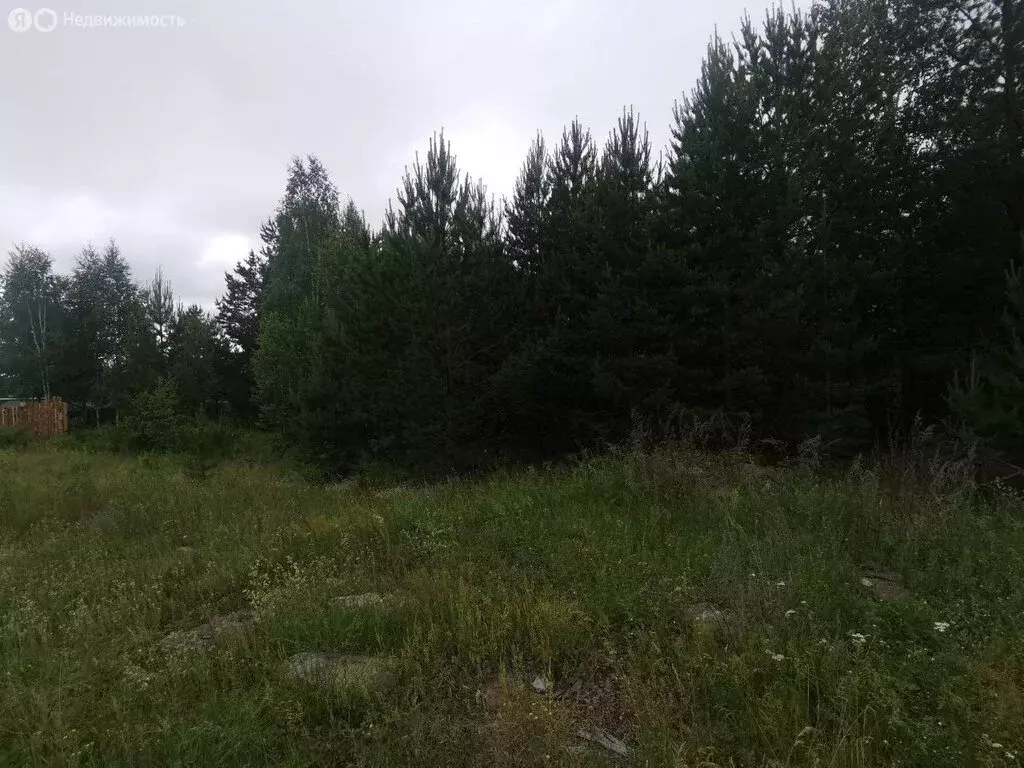 Участок в Крутиха, улица Мира, 3 (7.06 м) - Фото 0