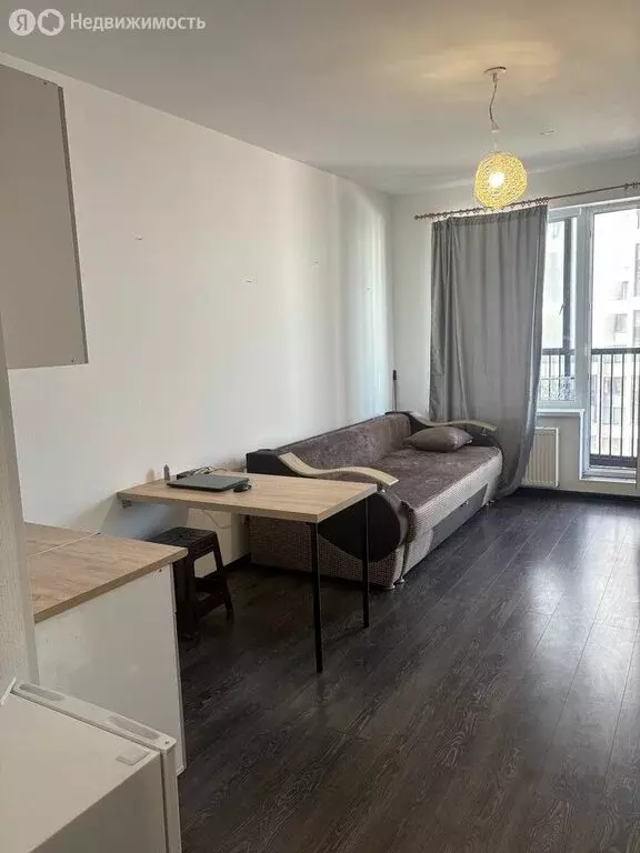 Квартира-студия: Санкт-Петербург, Арцеуловская аллея, 19 (25 м) - Фото 1