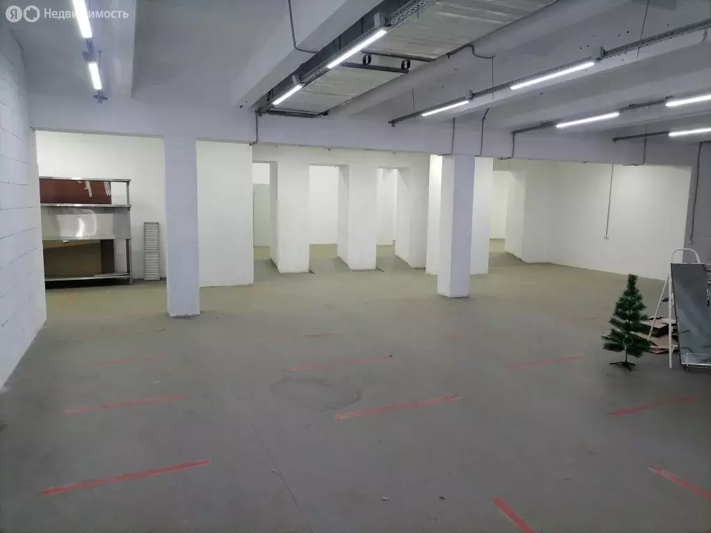 Помещение свободного назначения (250 м) - Фото 1