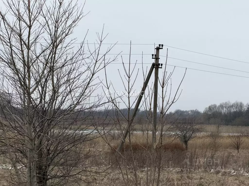 Участок в Калининградская область, Зеленоградский муниципальный округ, ... - Фото 2