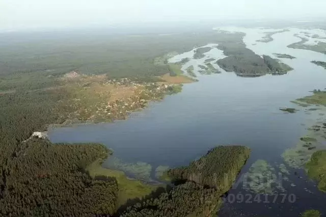 Участок в Тверская область, Калининский муниципальный округ, д. ... - Фото 1