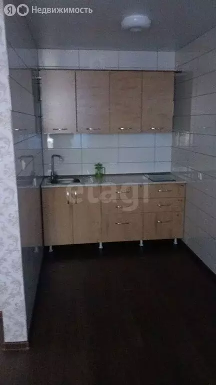 Квартира-студия: село Ягуново, Новая улица, 17 (27.1 м) - Фото 2