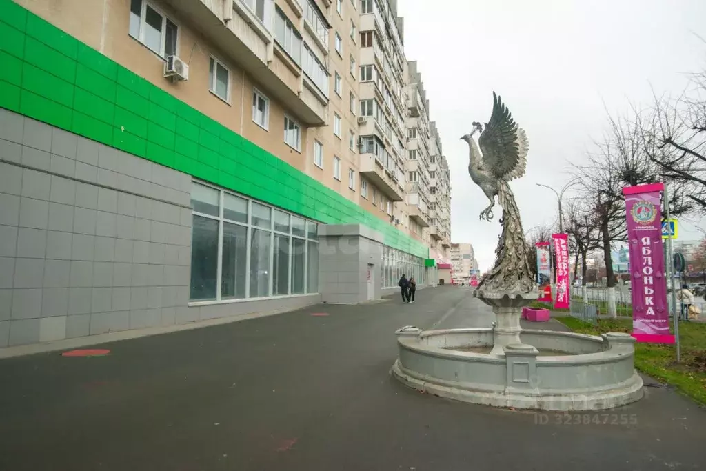 Торговая площадь в Ульяновская область, Ульяновск Ульяновский просп., ... - Фото 1