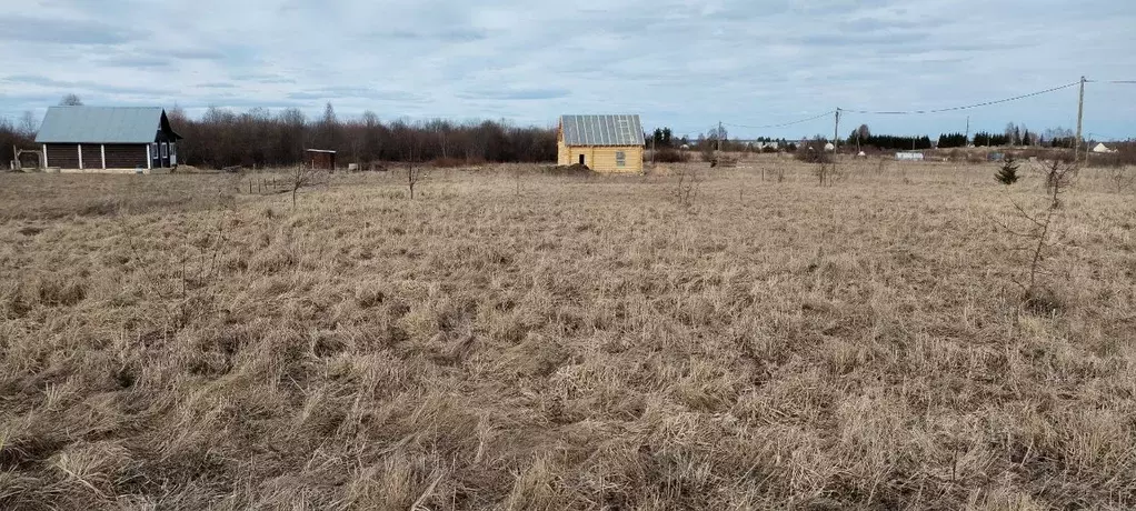 Участок в Вологодская область, д. Ирхино  (15.0 сот.) - Фото 0