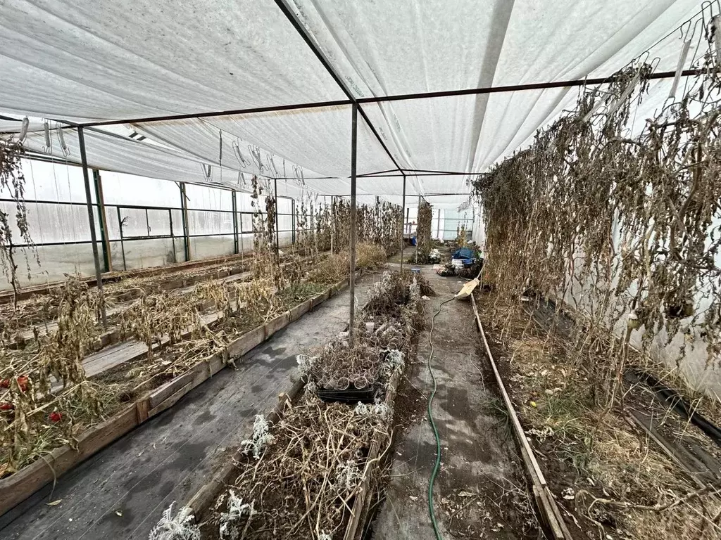 Помещение свободного назначения в Самарская область, Ставропольский ... - Фото 1