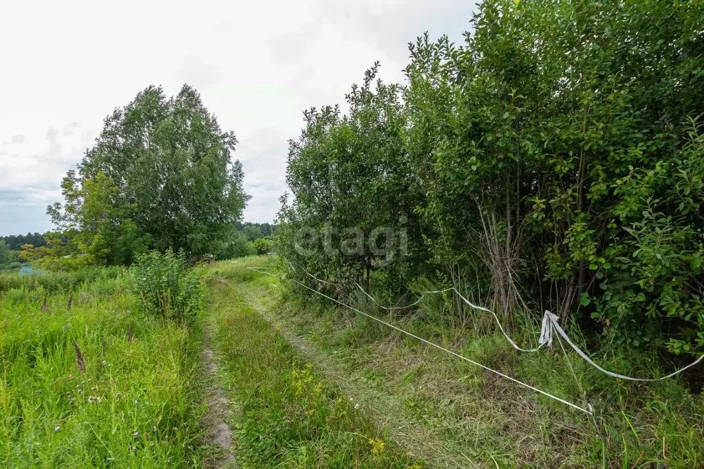 Участок в Новосибирская область, Новосибирский район, Барышевский ... - Фото 1