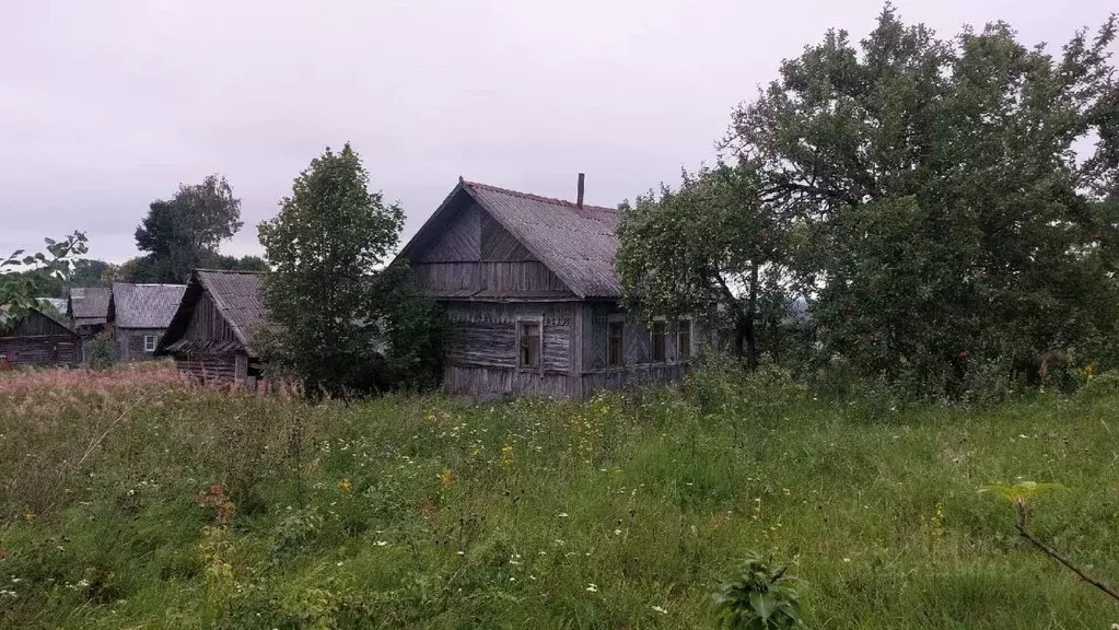 Дом в Псковская область, Себежское с/пос, д. Ермолова Гора  (27 м) - Фото 1