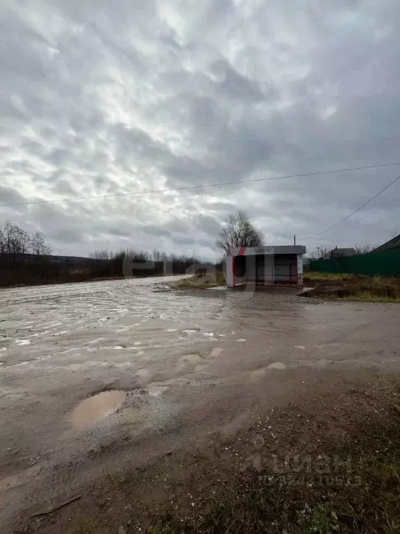 Участок в Пермский край, Пермский муниципальный округ, д. Горшки ул. ... - Фото 2
