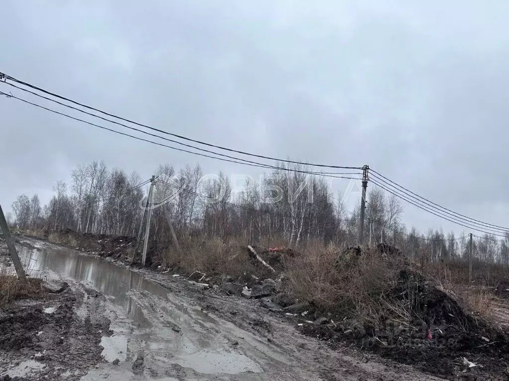 Участок в Тюменская область, Тюмень  (50.0 сот.) - Фото 1