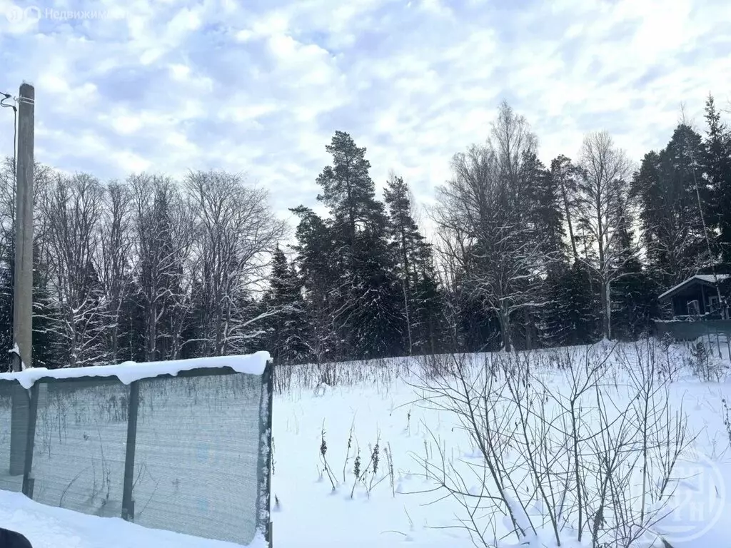 Участок в городской посёлок Сиверский, Красная улица (21.7 м) - Фото 2