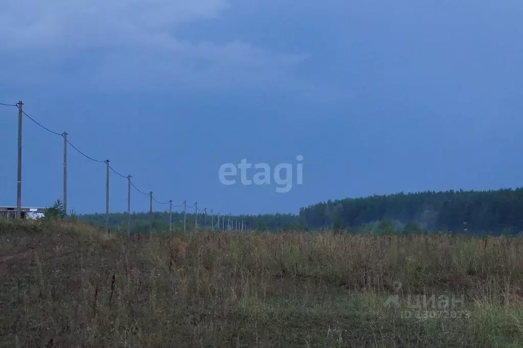 Участок в Нижегородская область, Богородский район, д. Инютино  (400.0 ... - Фото 1